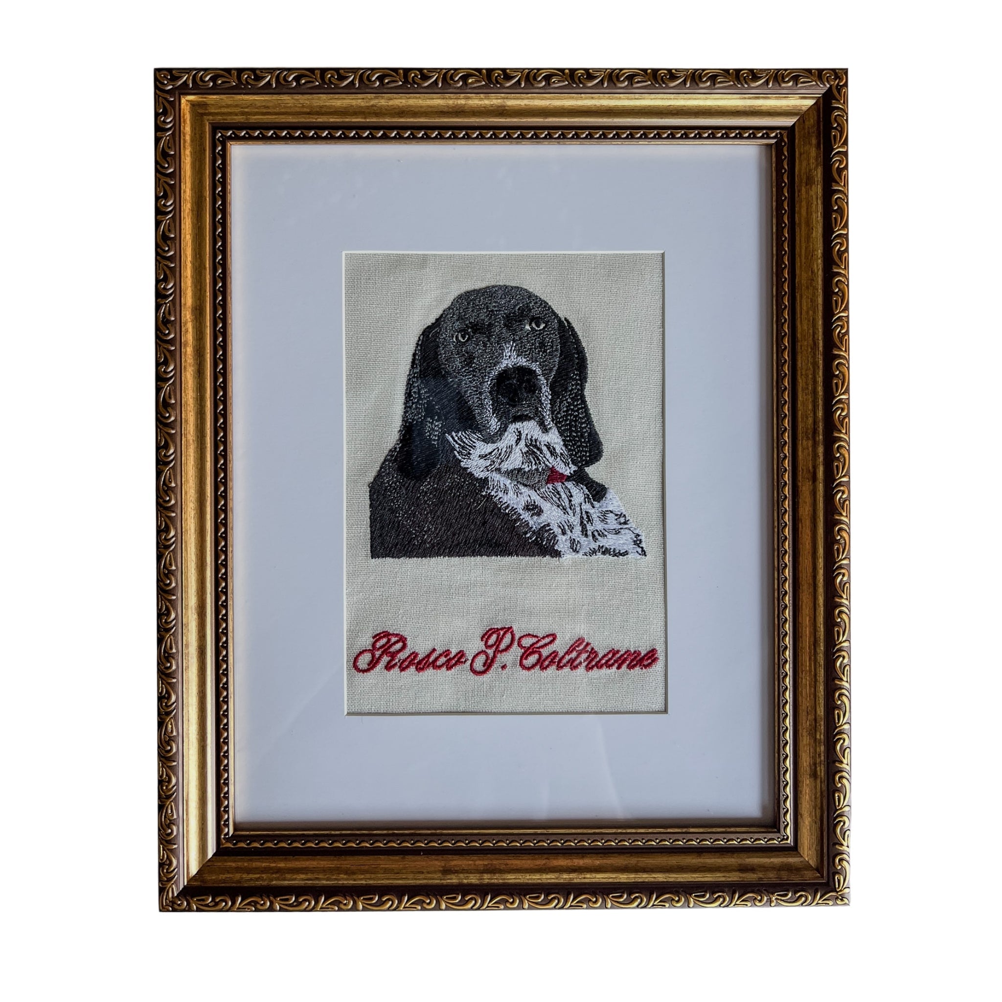 Pet Portrait