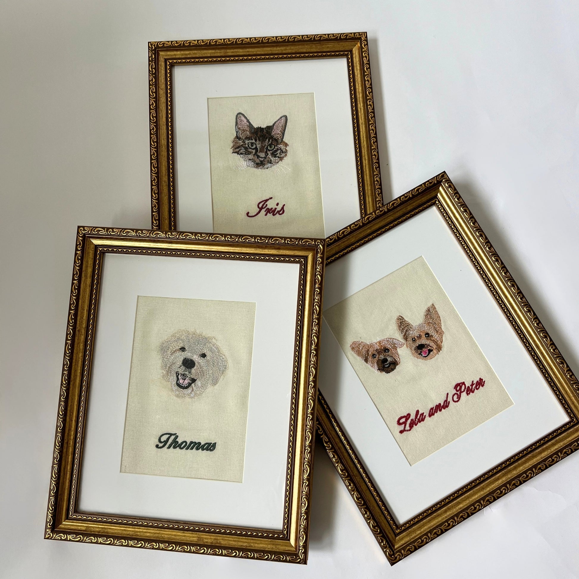 Pet Portrait
