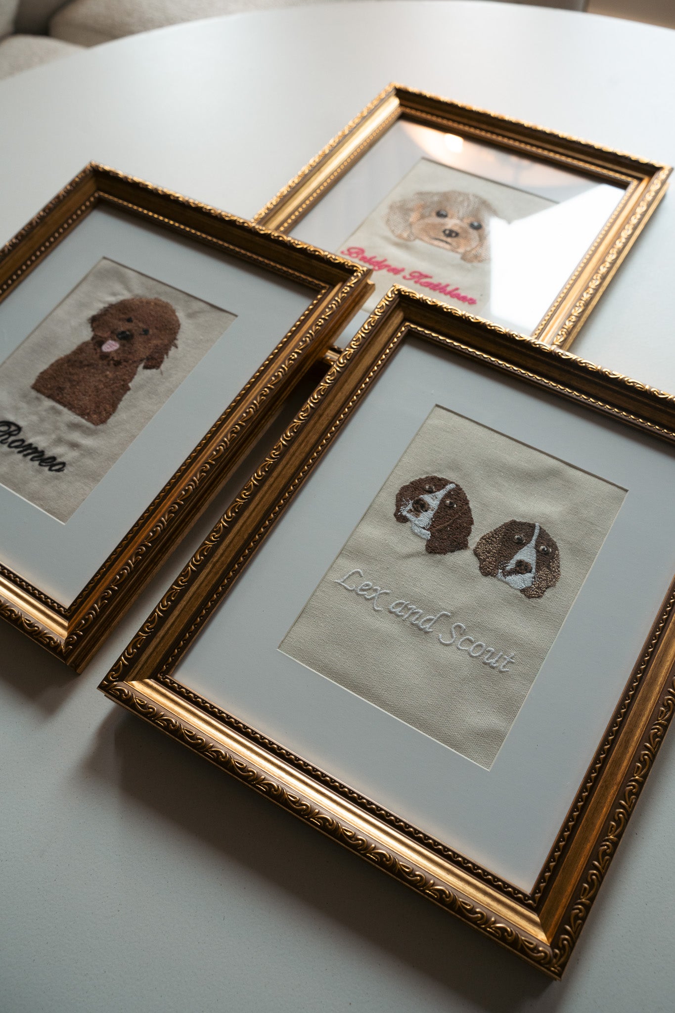 Pet Portrait